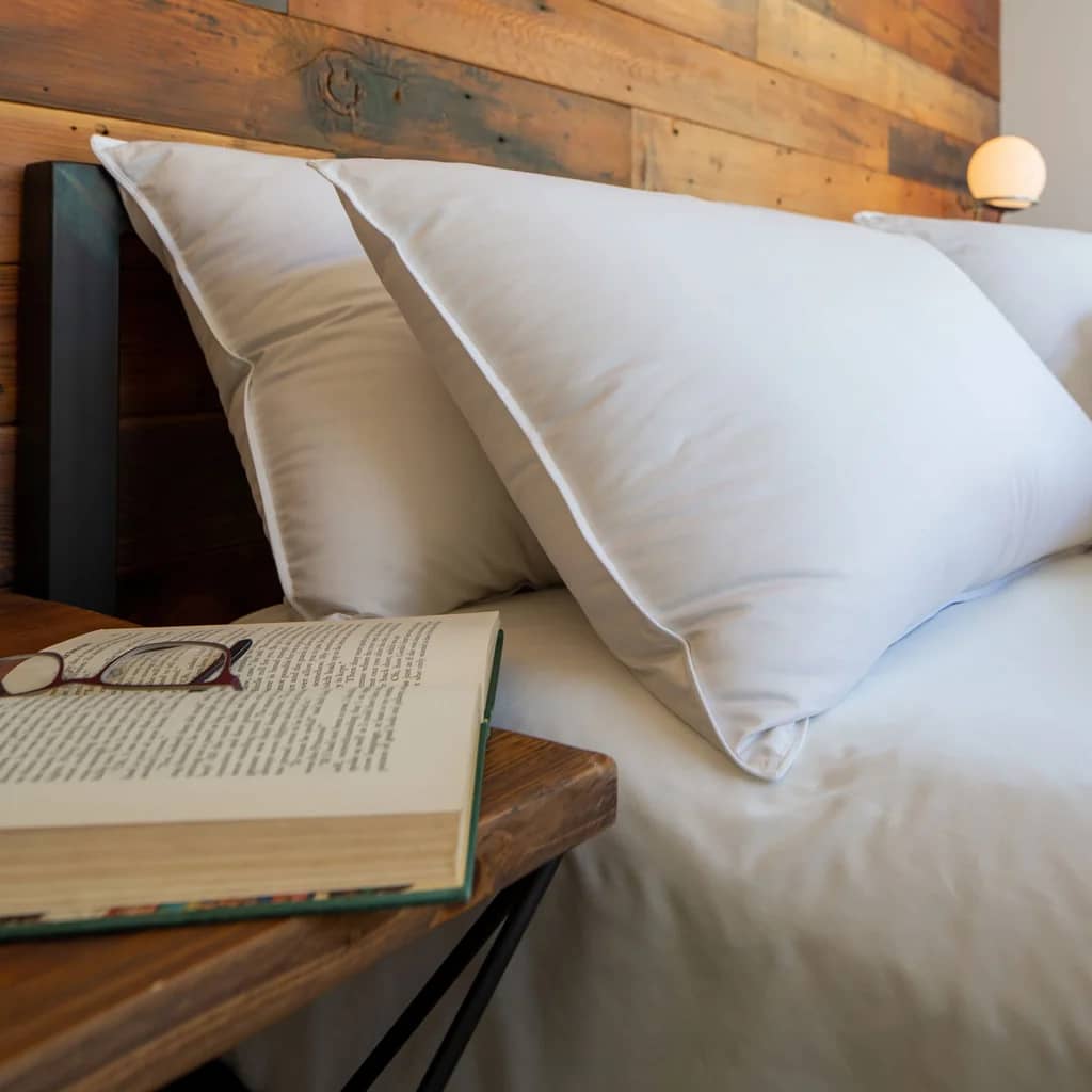 Feathered Friends Down Pillow 700 Fill