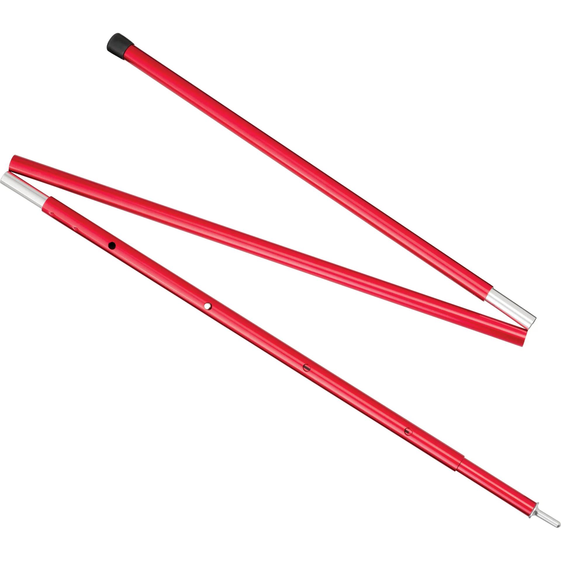 MSR Adjustable Poles - 4 ft